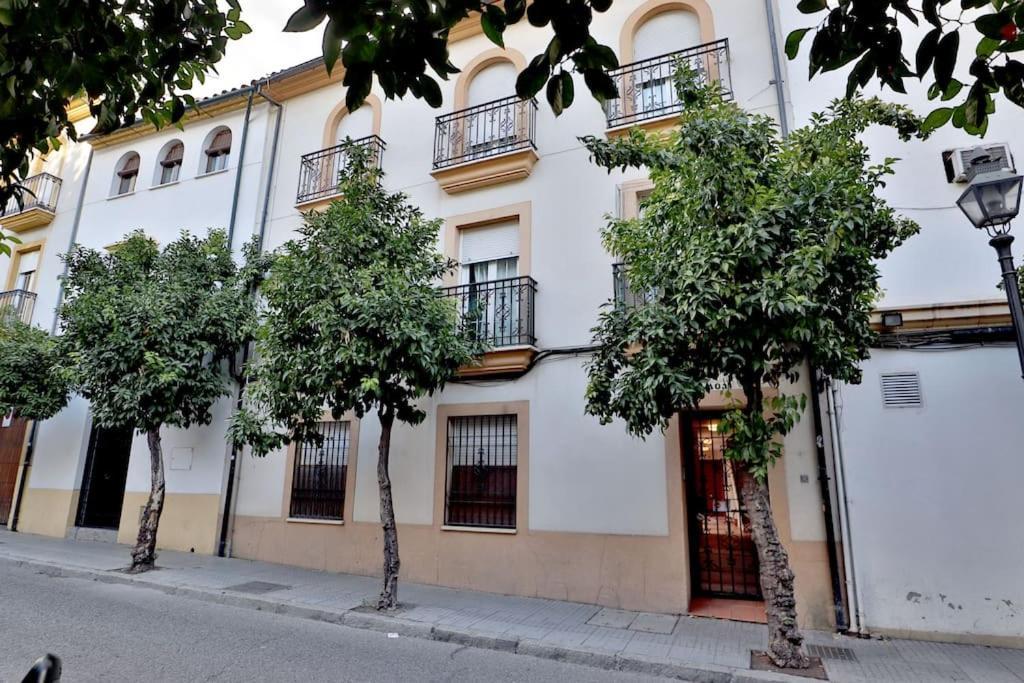 Slow San Fernando Apartment Cordoba